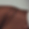 PutriCinta.com thumbnail