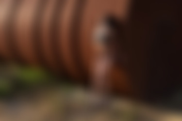 [photodromm.com] 2020-06/[photodromm.com] - 2020.06.26 - Teodora - Antirust (x46) 2000x3000/01l.jpg