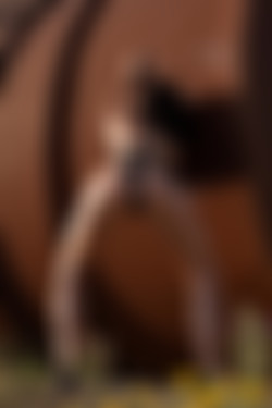 [photodromm.com] 2020-06/[photodromm.com] - 2020.06.26 - Teodora - Antirust (x46) 2000x3000/09l.jpg
