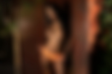 [photodromm.com] 2020-09/[photodromm.com] - 2020.09.02 - Mareeva - Glory Days (x50) 2000x3000/19l.jpg